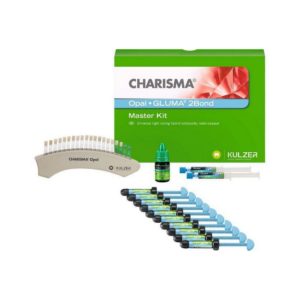 Charisma OPAL MASTER KIT / Каризма Опал Мастер Кит Набор (10 шпр. х 4гр.+GLUMA Bond + GLUMA Etch ) Heraeus Kulzer